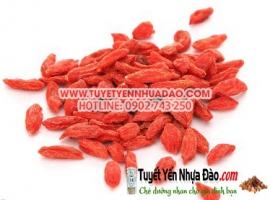 Kỷ tử - Tác dụng của kỷ tử đối với sức khỏe mà ít người biết