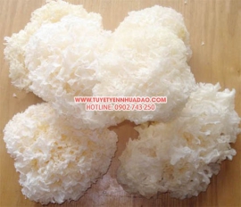 Nấm tuyết là gi? [ cách dùng, tác dụng ] thơm ngon bổ dưỡng tuyệt vời.