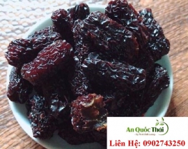Táo tàu - Tác dụng chữa bệnh của táo tàu khô đối với sức khỏe chúng ta