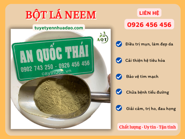 Công dụng của bột neem Ấn Độ
