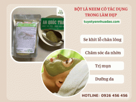 Bột lá neem Ấn Độ với sữa chua giúp trị mụn, da dầu hiệu quả